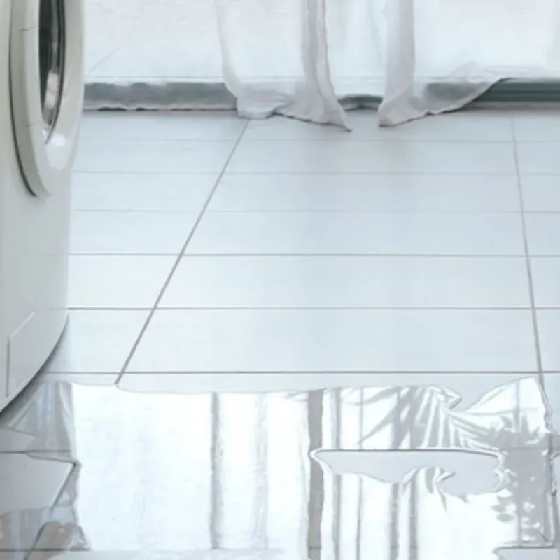 Appliance Leak Cleanup in Camp Pendleton South, CA