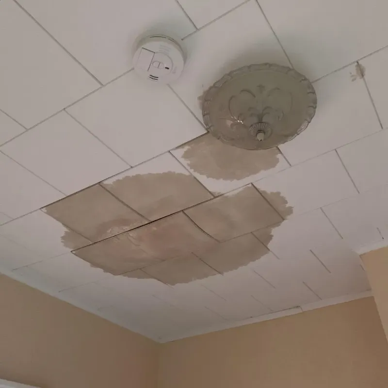 Ceiling Water Damage Repair in Camp Pendleton South, CA